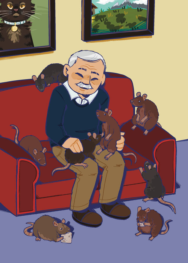 Page Illustration