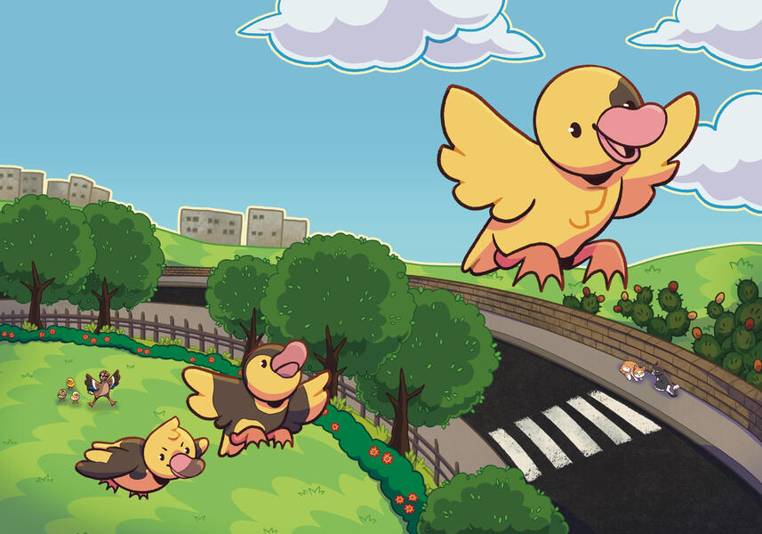 Page Illustration