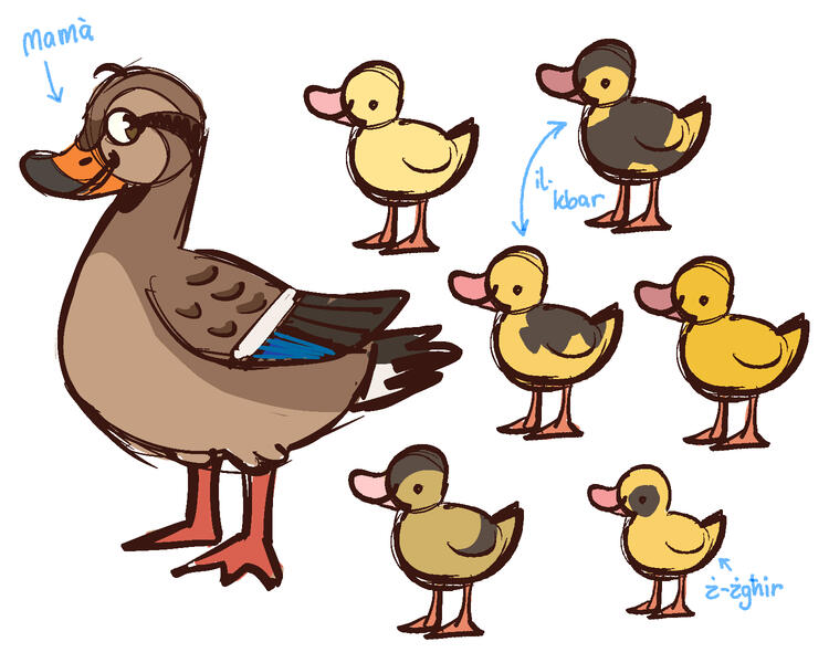Duck Designs