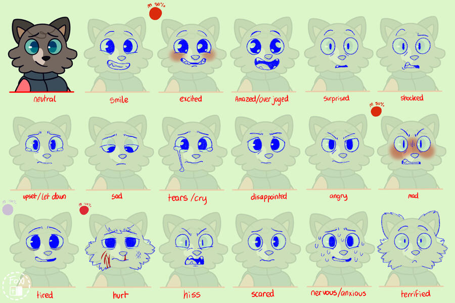 Cat_Oakley Expressions (2023)