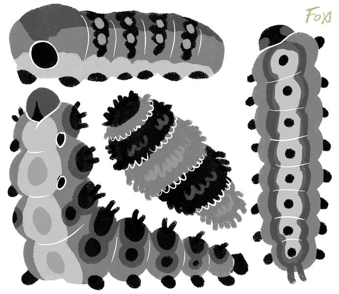 Blue Caterpillar Concepts #1 (2024) / UNI ASSIGNMENT