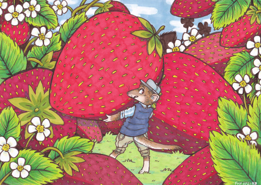 Strawberry Shrew (2021) / COMPETITION ENTRY