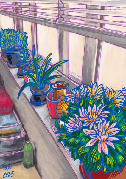 My Green Corner (2023) / COMPETITION ENTRY