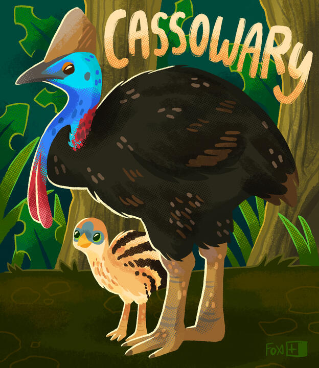 Day 22 : Cassowary
