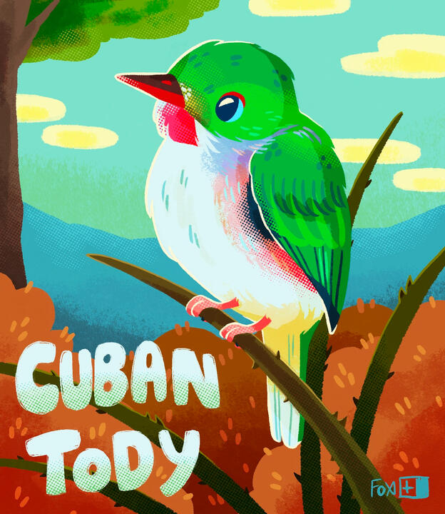 Day 29 : Cuban Tody