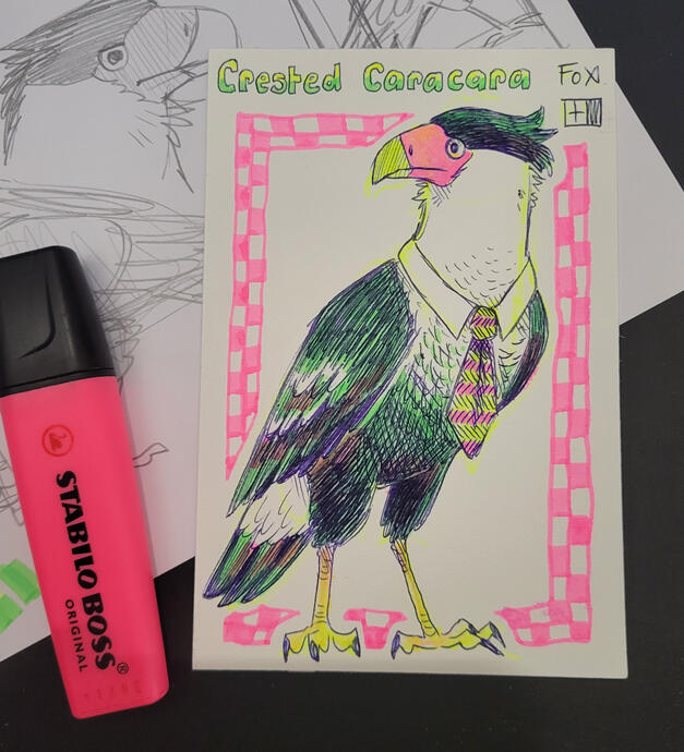 Day 11 : Crested Caracara