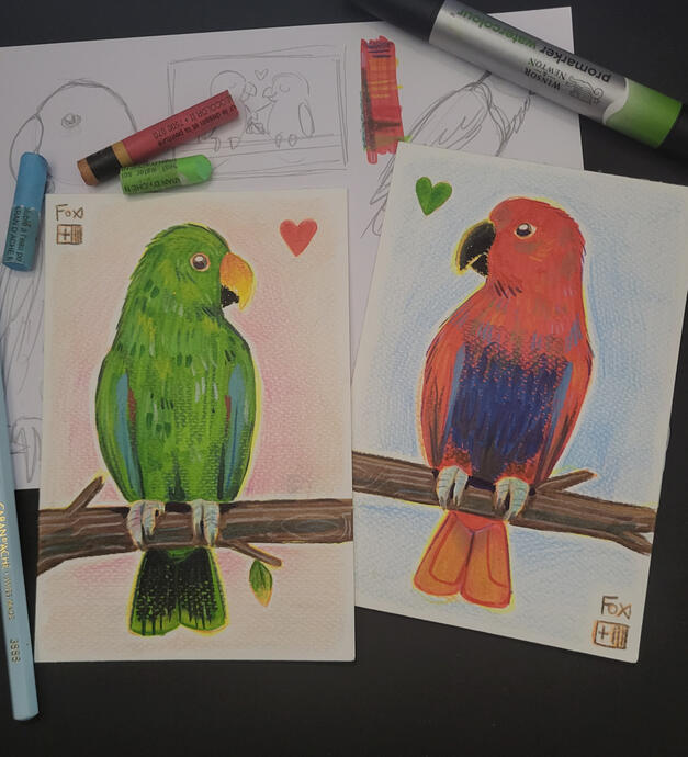 Day 12 : Eclectus Parrot