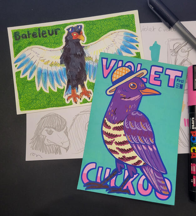Day 16 : Bateleur / Day 17 : Violet Cuckoo