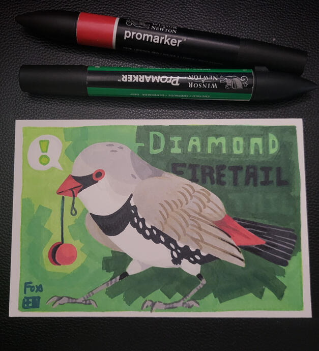 Day 18 : Diamond Firetail