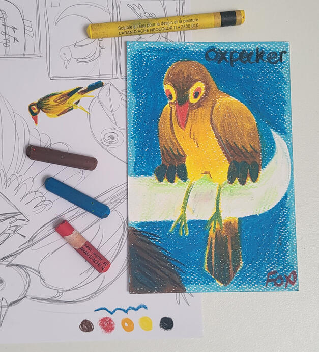 Day 4 : Oxpecker