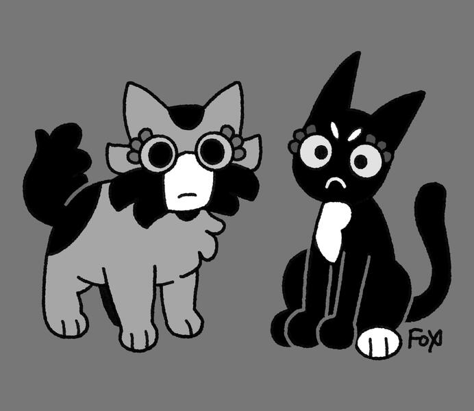 Kittens