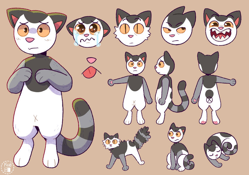 Wagtail the Cat