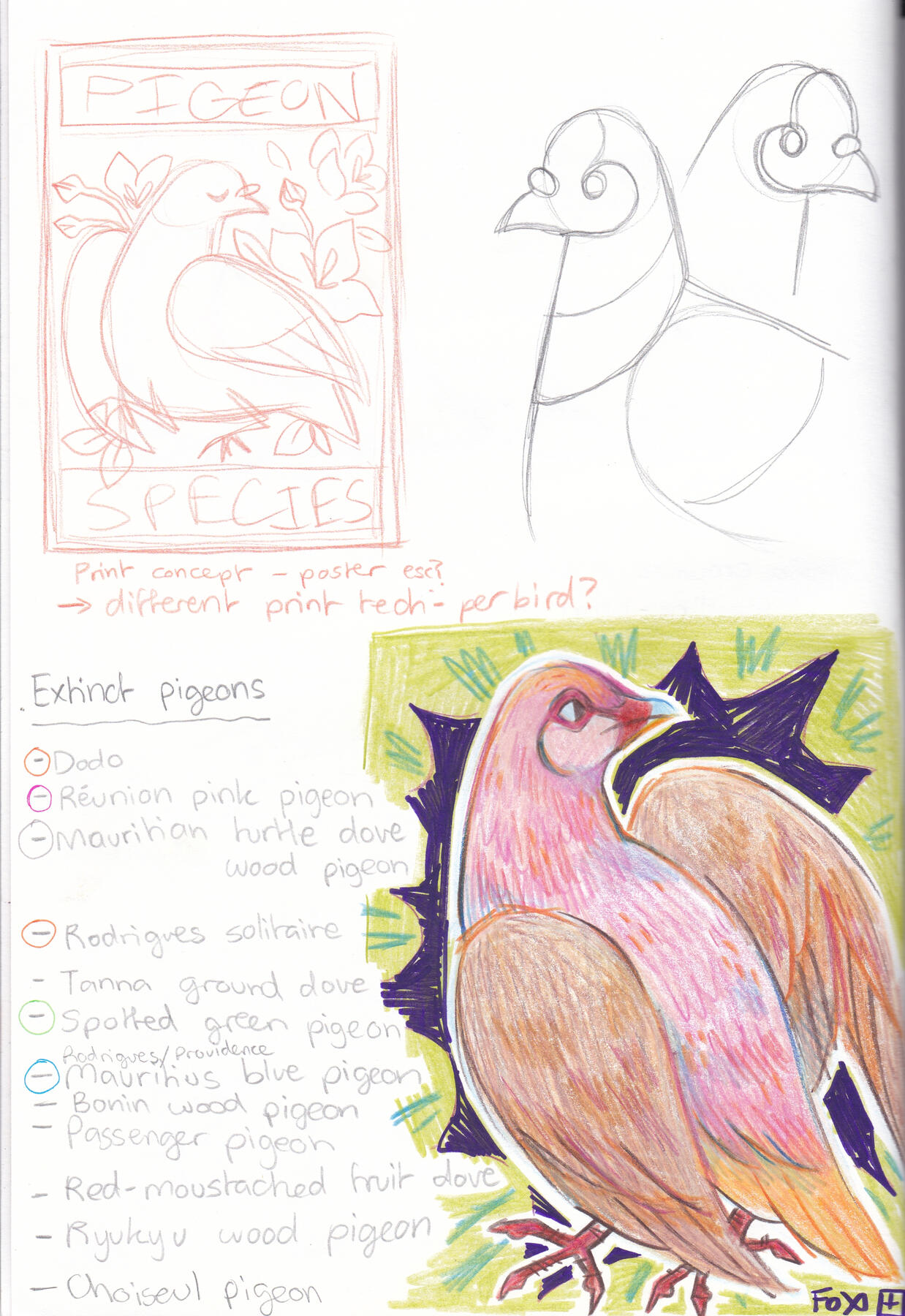 PAGE 5 (Extinct Pigeons)