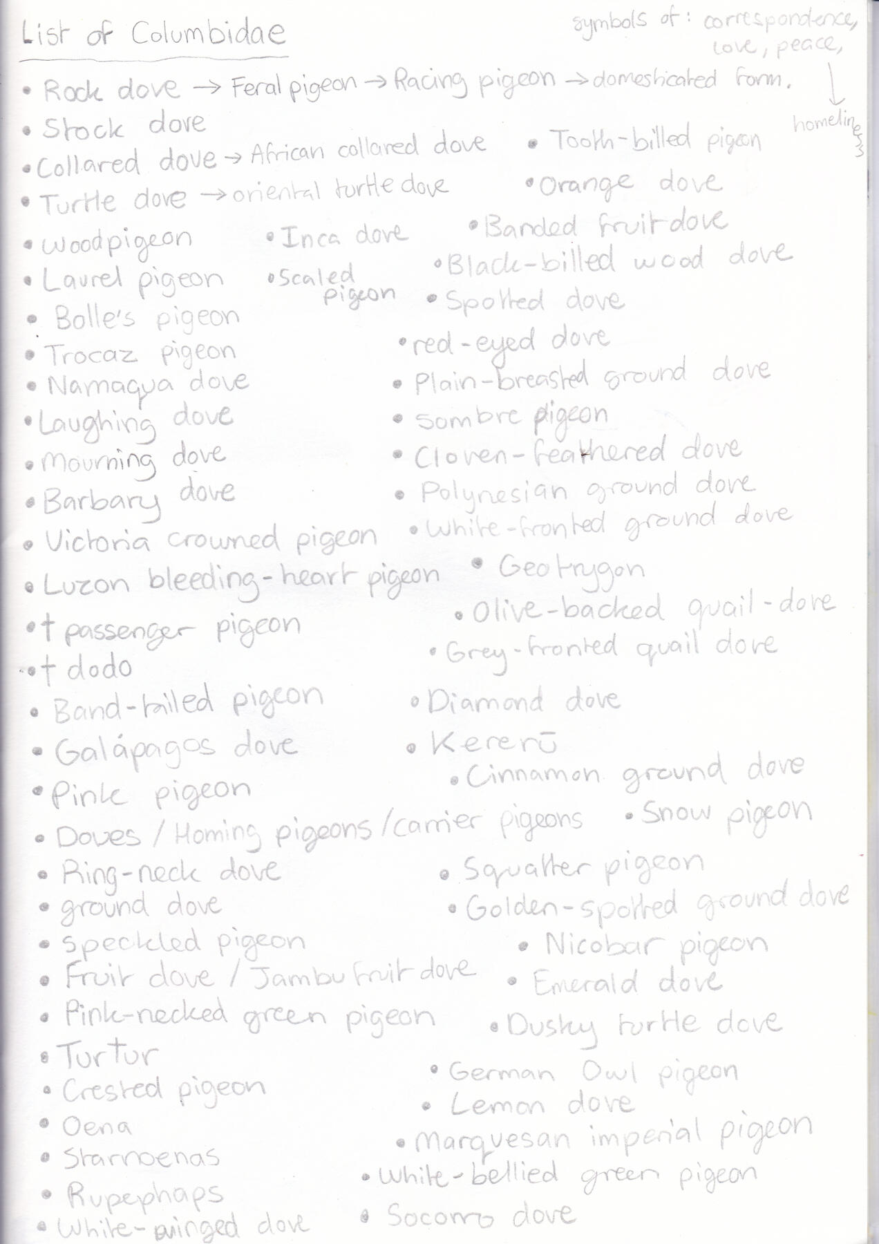 PAGE 4 (List of Pigeons)