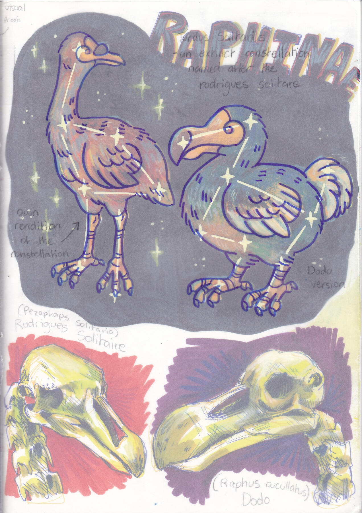PAGE 7 (Dodo and Rodrigues Solitaire Studies)