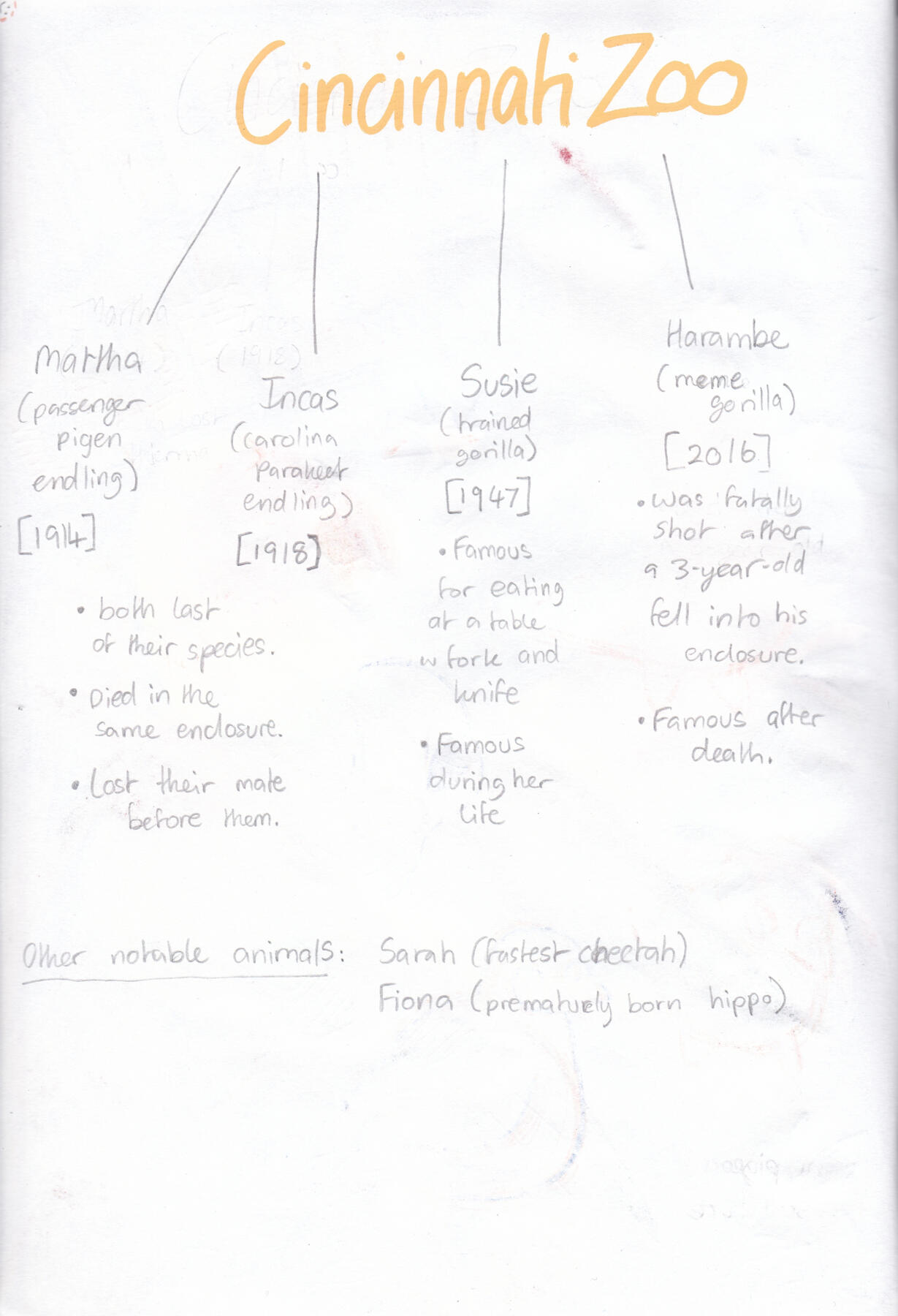 PAGE 3 (Research Mind map)