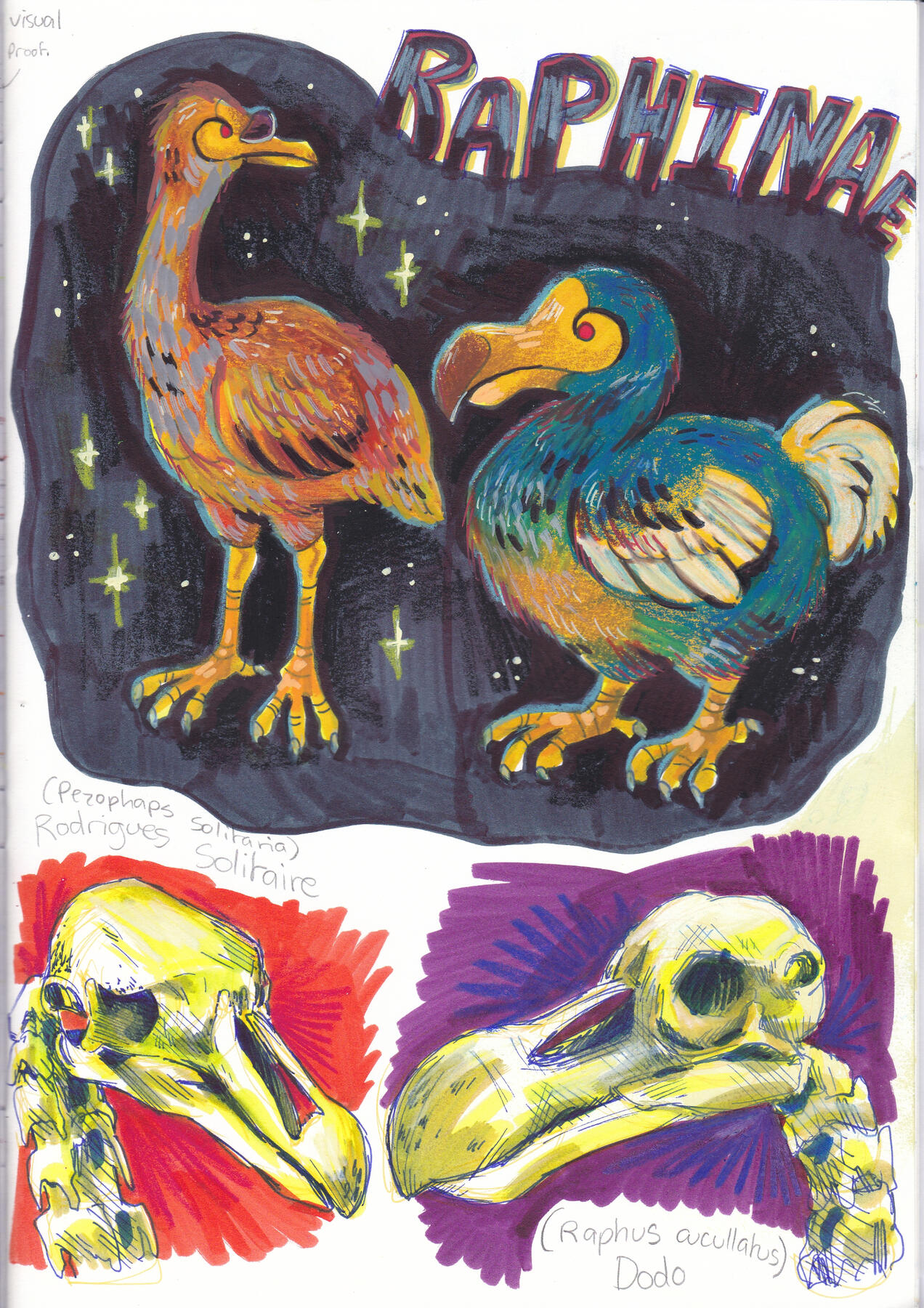 PAGE 7.5 (Dodo and Rodrigues Solitaire Studies)
